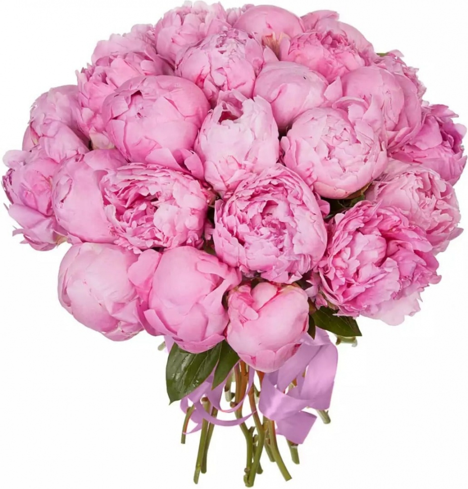 Купить цветы пионы в раменском красивые букеты цветов розы